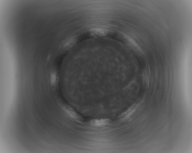 X0000111050134200907021627