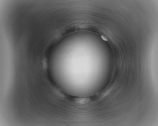 X0000111050135200907021627