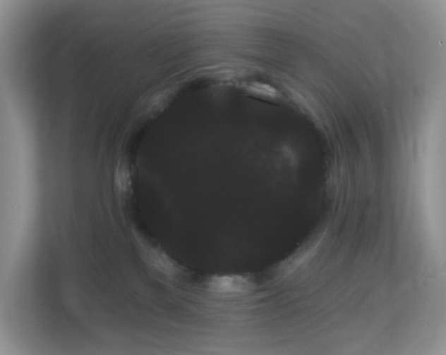 X0000111050137200907021627