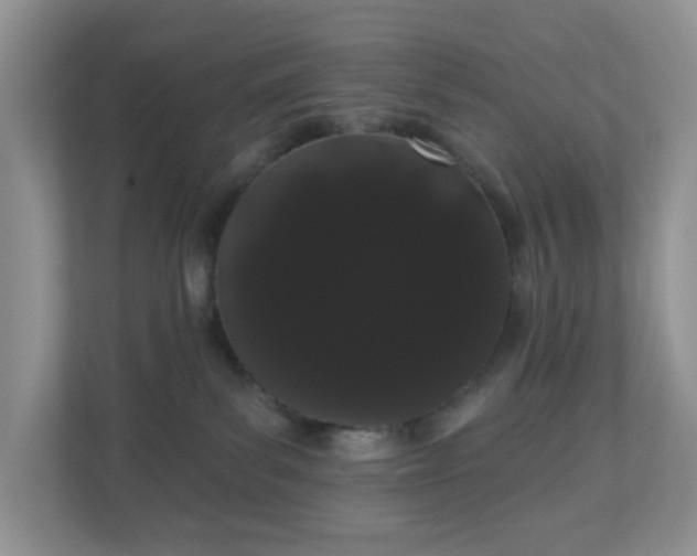 X0000111050139200907021627