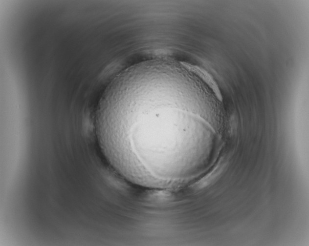 X0000111050140200907021627