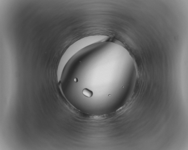 X0000111050141200907021627