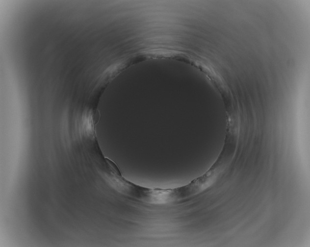 X0000111050143200907021627