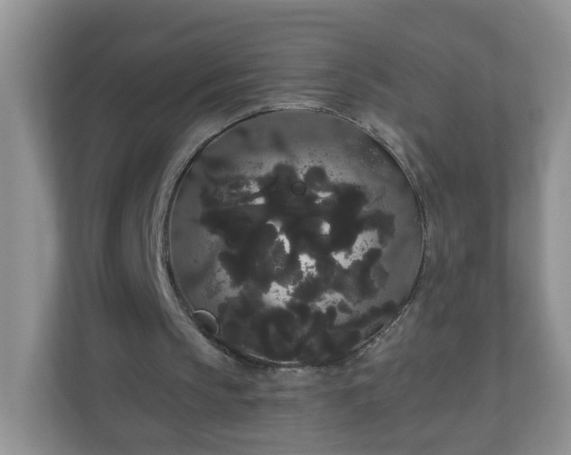 X0000111050145200907021626