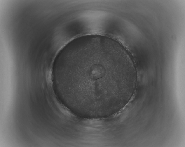 X0000111050146200907021626