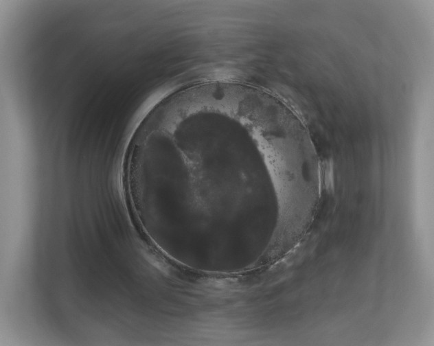 X0000111050147200907021626