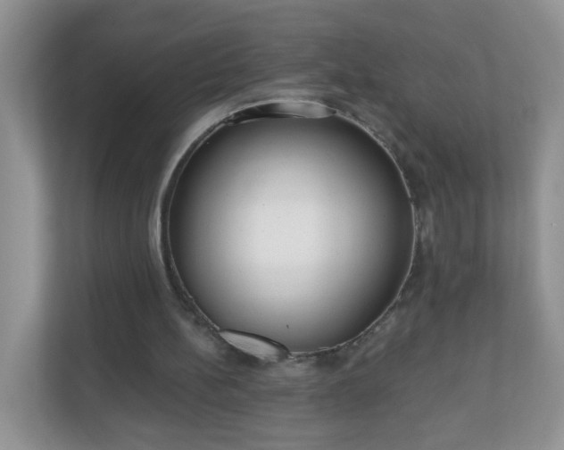 X0000111050148200907021626