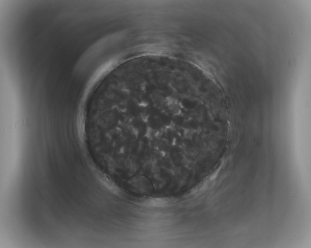 X0000111050149200907021626