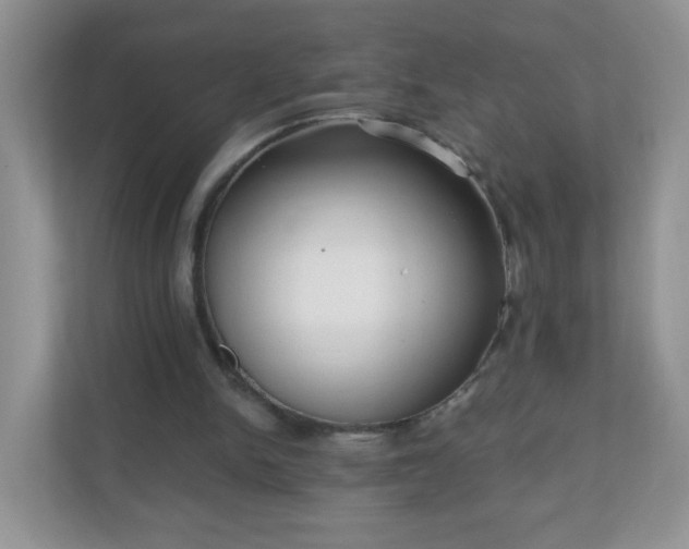 X0000111050150200907021626