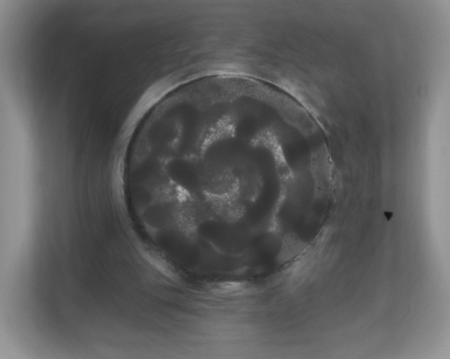 X0000111050151200907021626