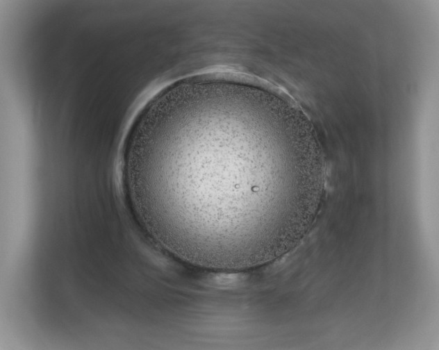 X0000111050152200907021626