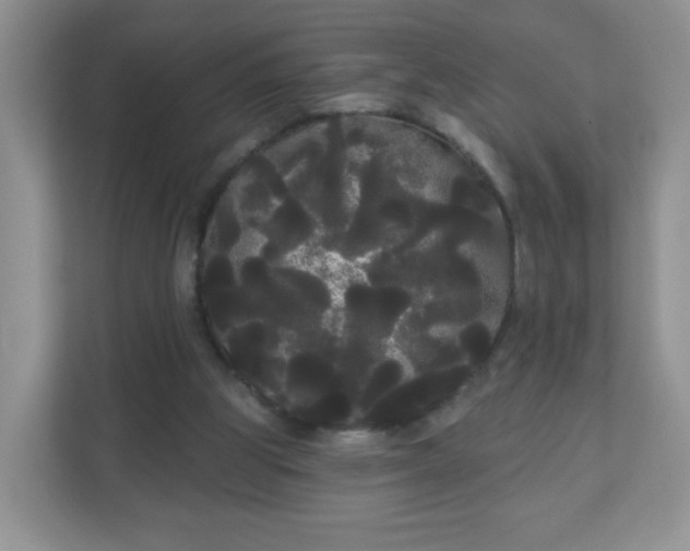 X0000111050153200907021626