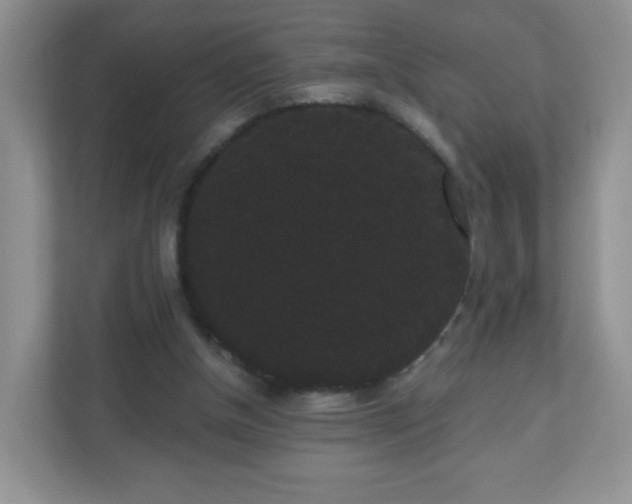 X0000111050154200907021626