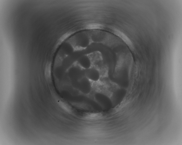 X0000111050155200907021626