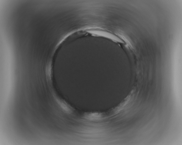 X0000111050156200907021626