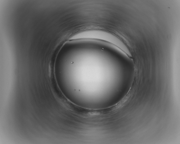 X0000111050158200907021626