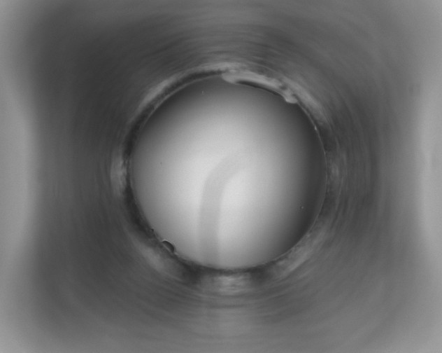 X0000111050160200907021626