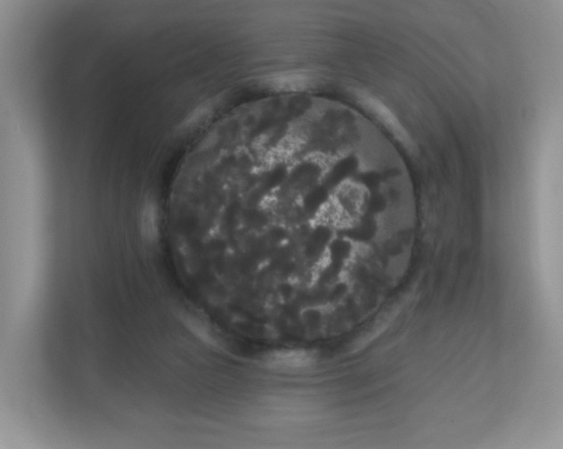 X0000111050161200907021626