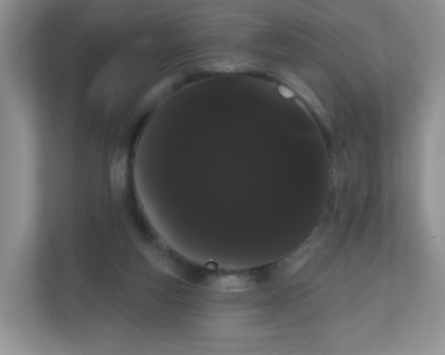 X0000111050163200907021626