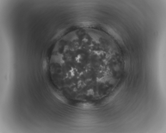 X0000111050165200907021627