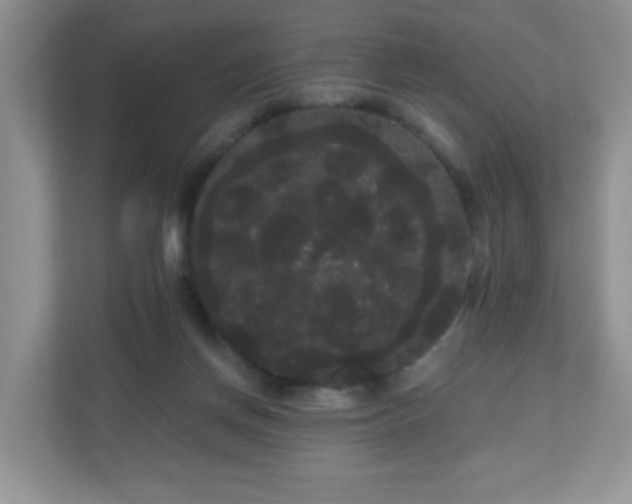 X0000111050166200907021627