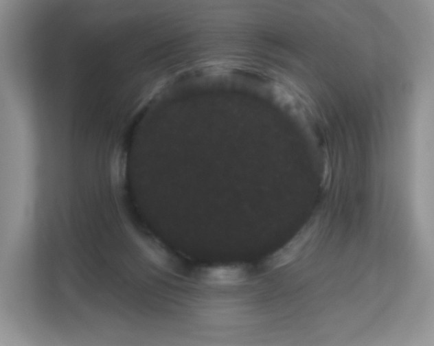 X0000111050168200907021627