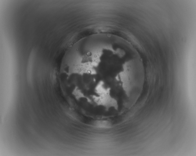 X0000111050169200907021627