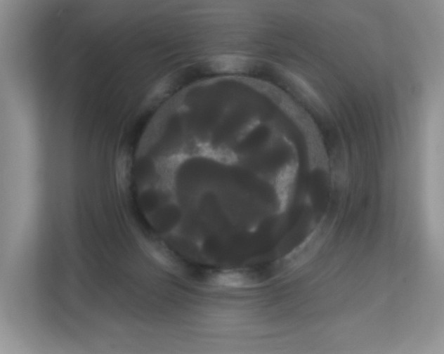 X0000111050171200907021627