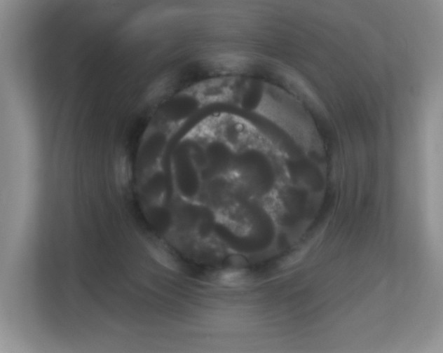 X0000111050173200907021627