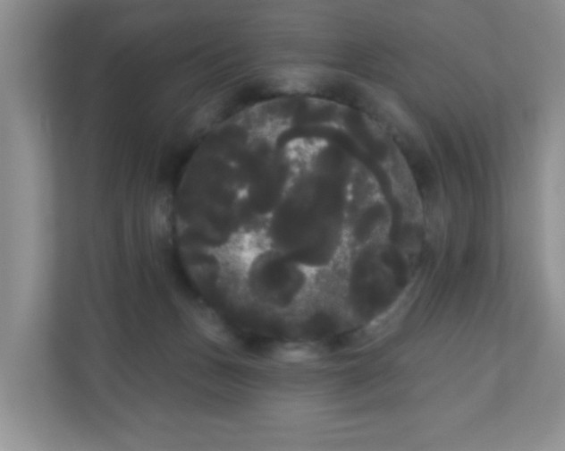 X0000111050175200907021627