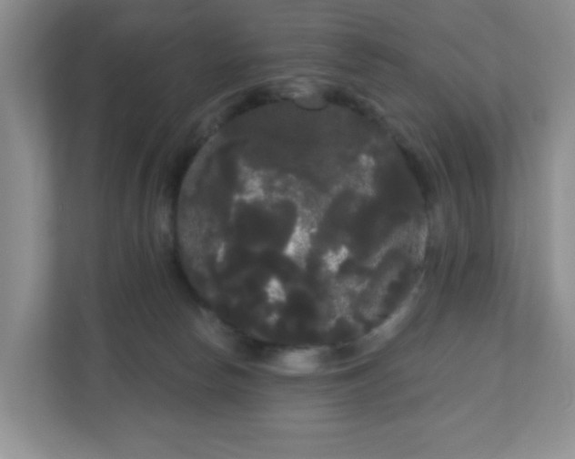 X0000111050178200907021627