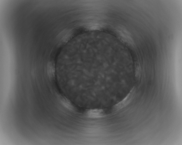 X0000111050179200907021627