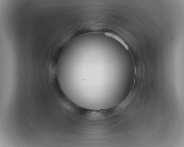 X0000111050180200907021627