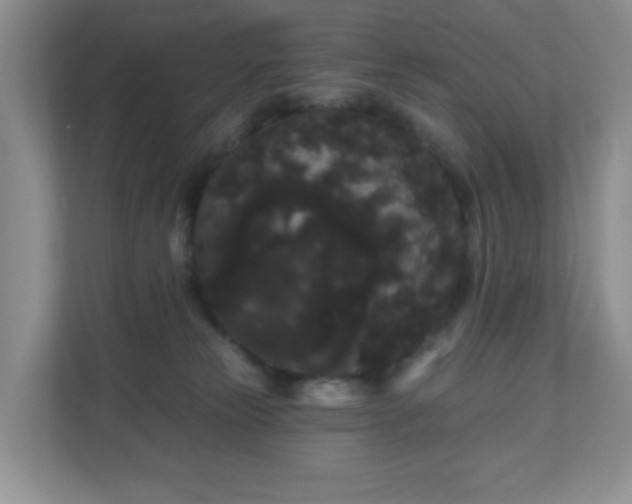 X0000111050181200907021627