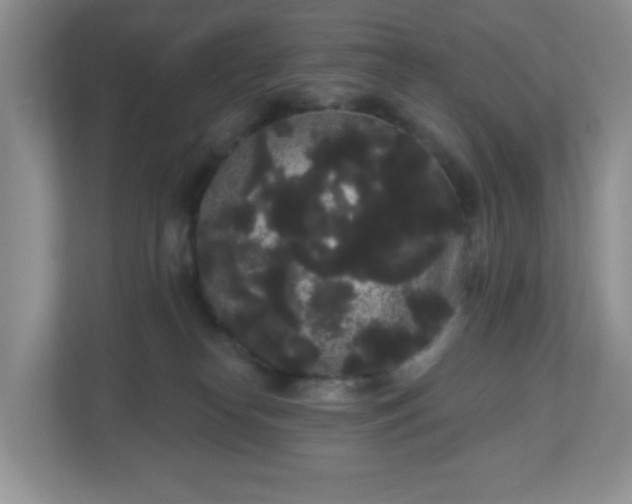 X0000111050182200907021627