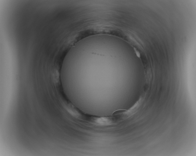 X0000111050183200907021627