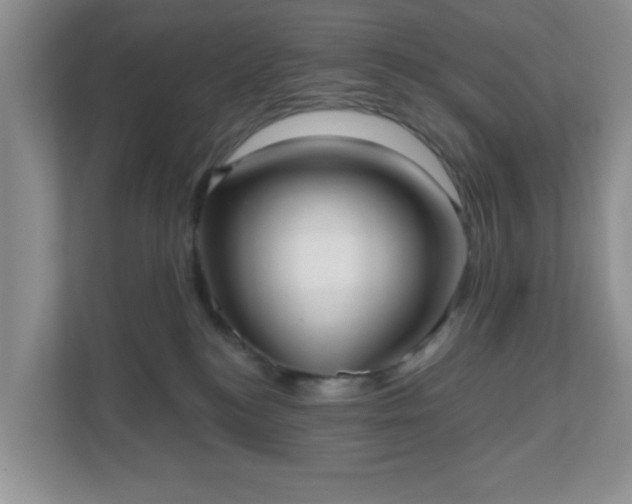 X0000111050184200907021627