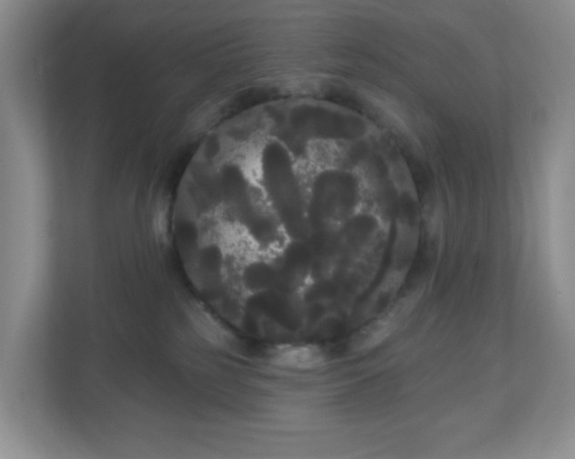 X0000111050185200907021627