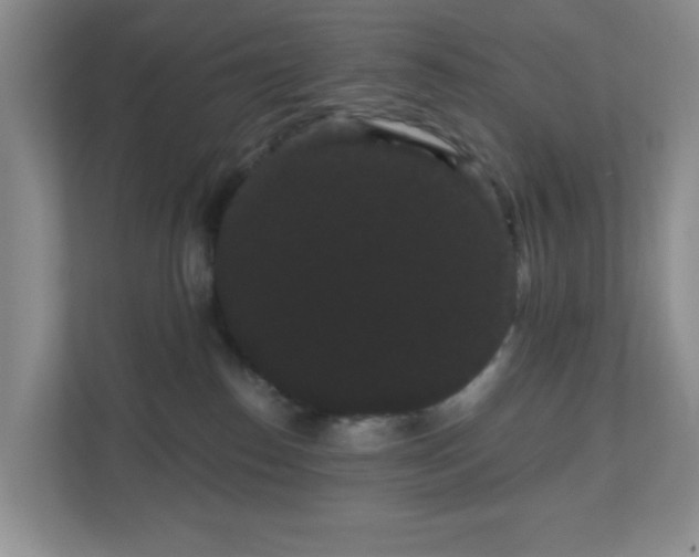 X0000111050186200907021627