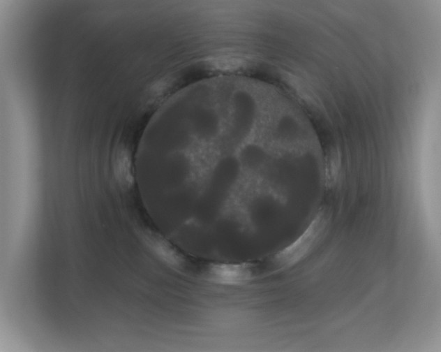 X0000111050187200907021627