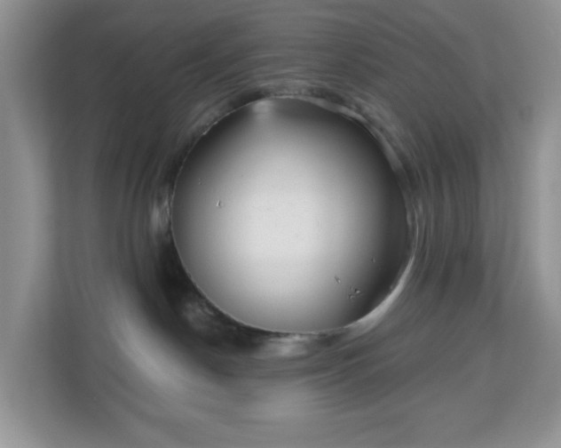 X0000111050190200907021627