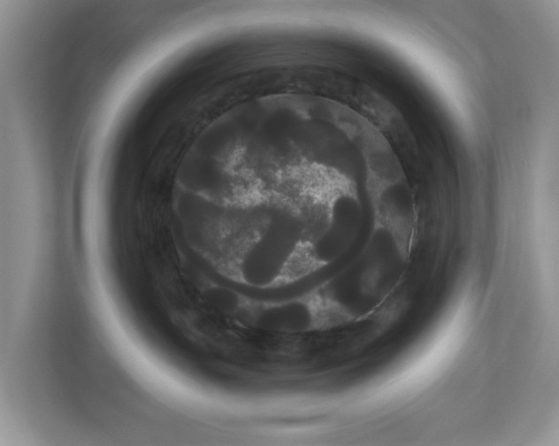 X0000111050191200907021627