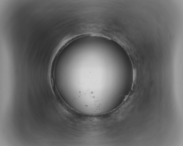 X0000111050195200907021626