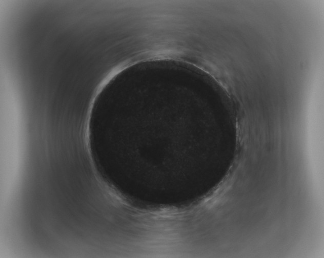 X0000111050196200907021626