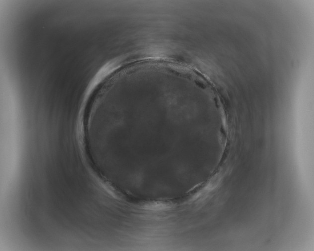 X0000111050198200907021626