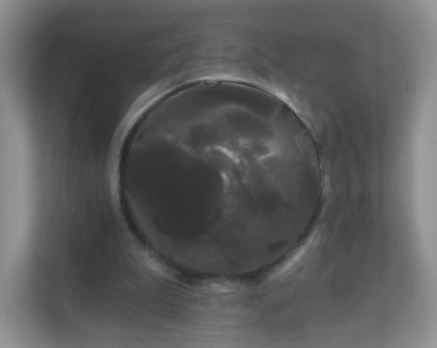 X0000111050199200907021626