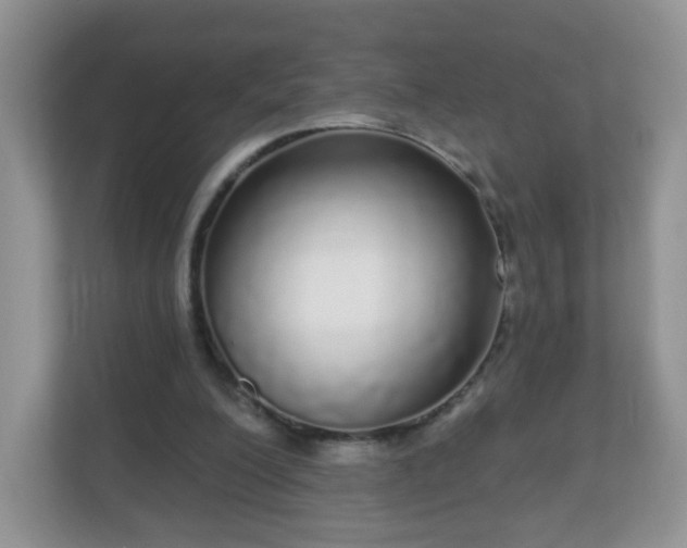 X0000111050200200907021626