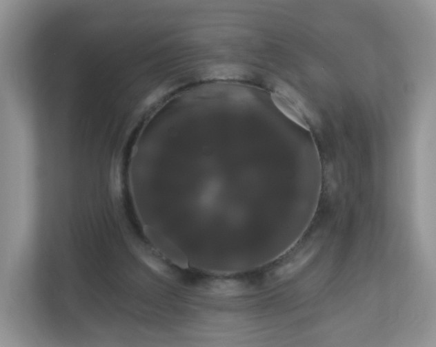 X0000111050203200907021626