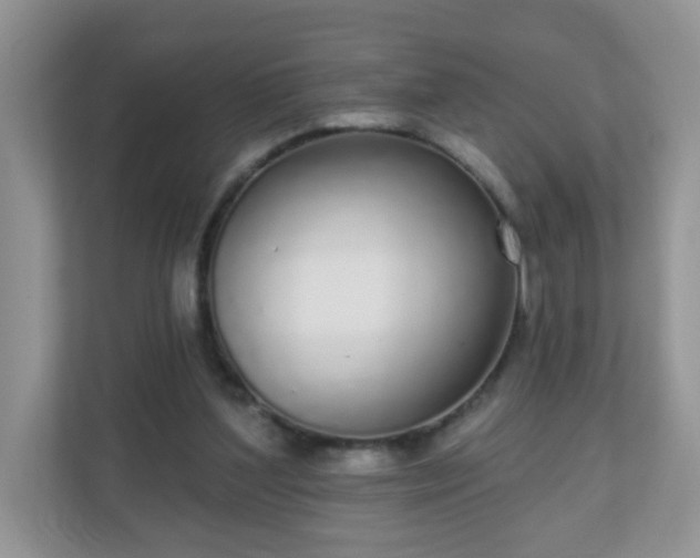 X0000111050204200907021626