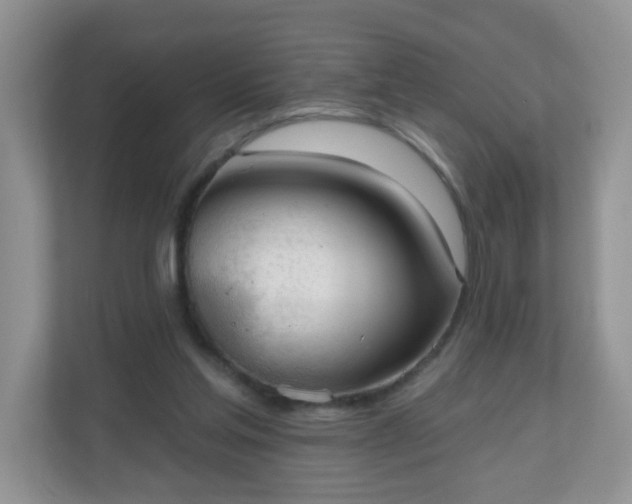 X0000111050205200907021626